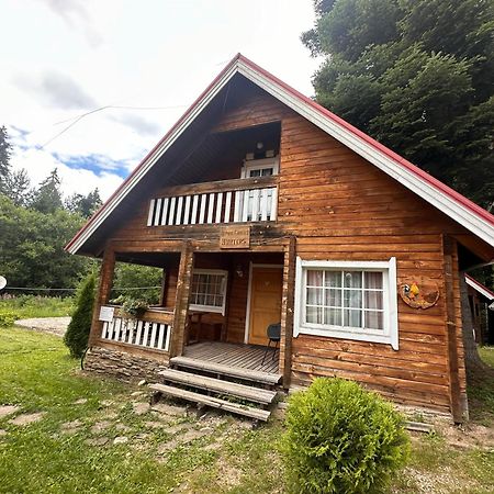 Alpine Ski Chalet Borovets With Sauna Kültér fotó