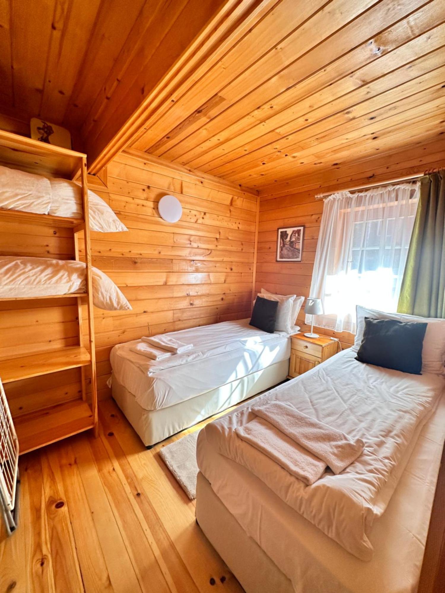 Alpine Ski Chalet Borovets With Sauna Kültér fotó
