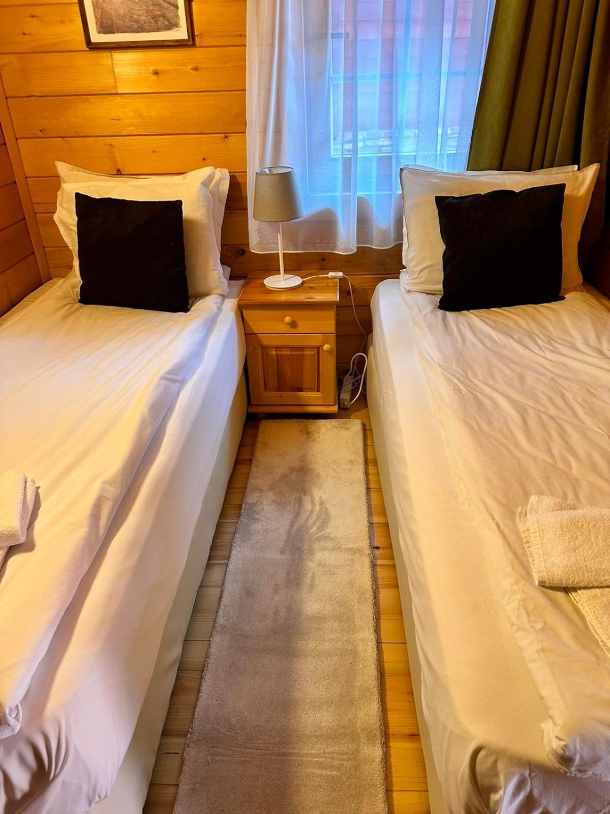 Alpine Ski Chalet Borovets With Sauna Kültér fotó