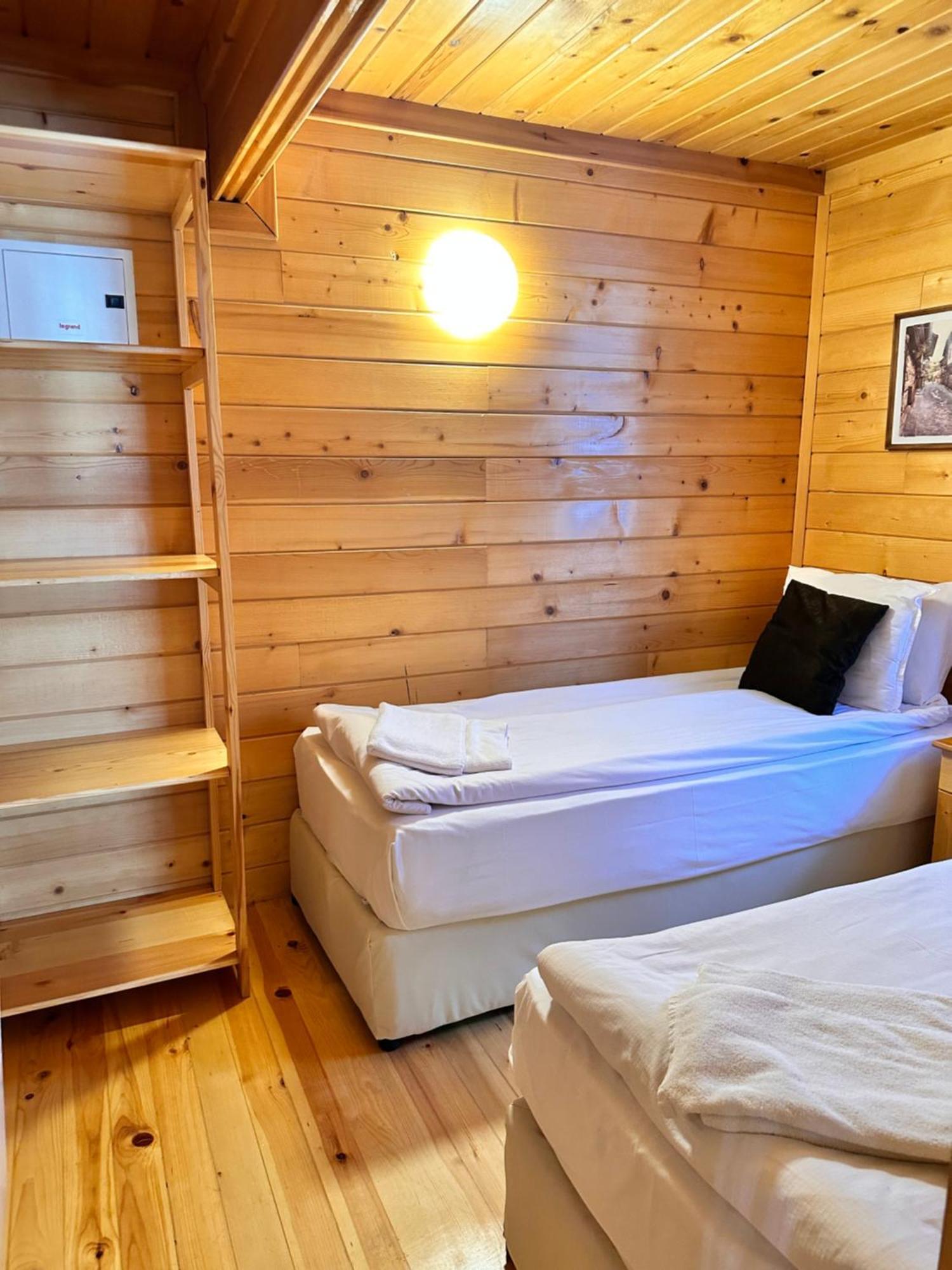 Alpine Ski Chalet Borovets With Sauna Kültér fotó