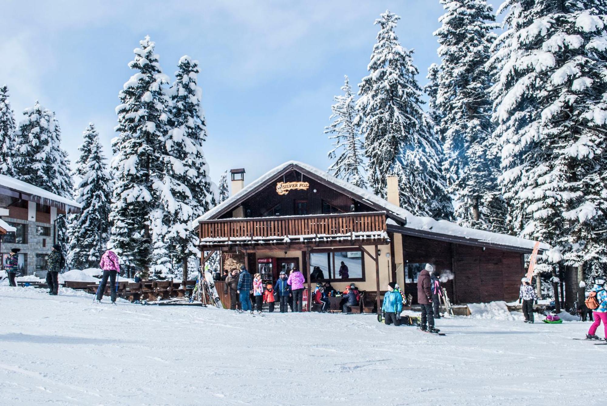 Alpine Ski Chalet Borovets With Sauna Kültér fotó