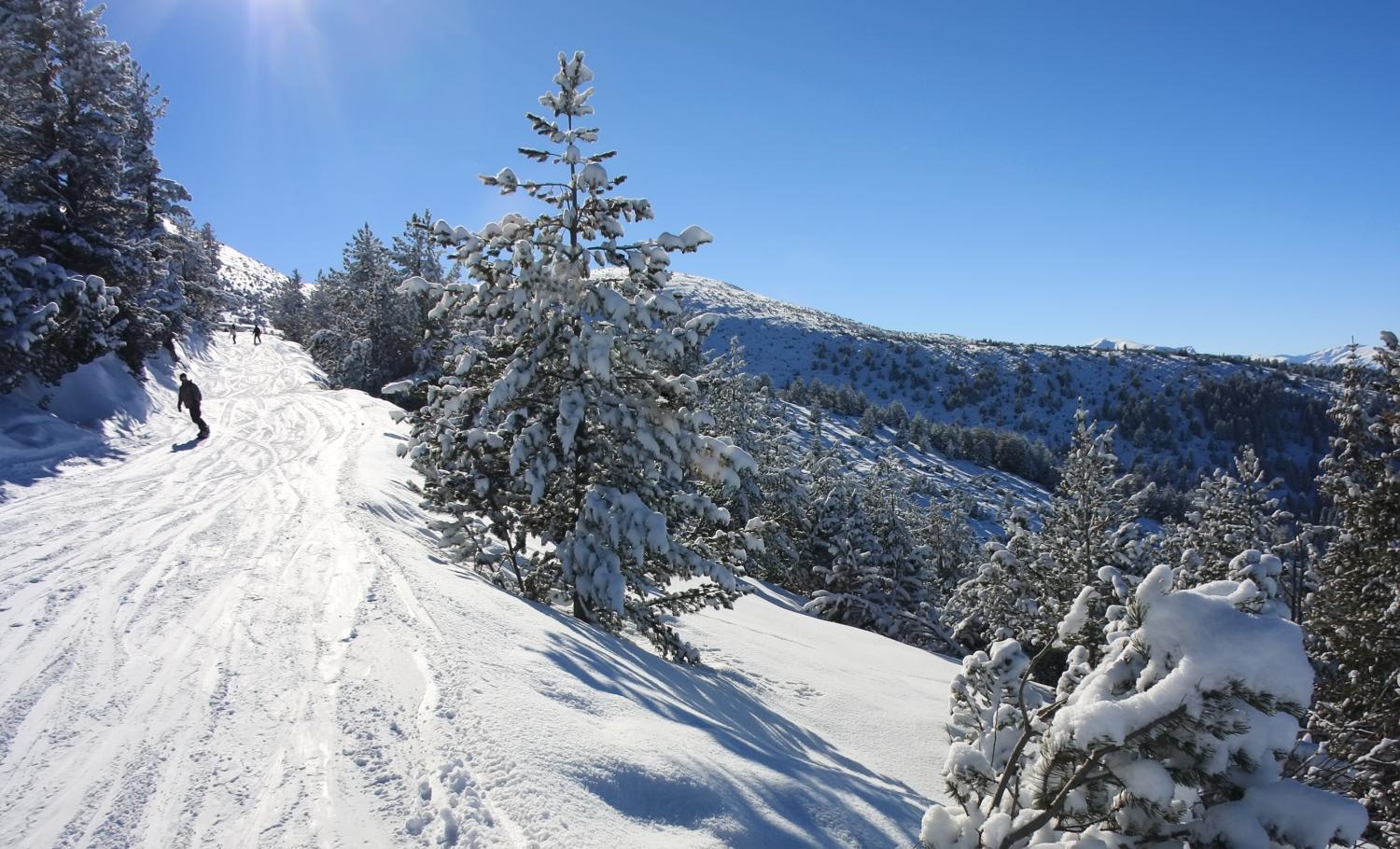 Alpine Ski Chalet Borovets With Sauna Villa Kültér fotó