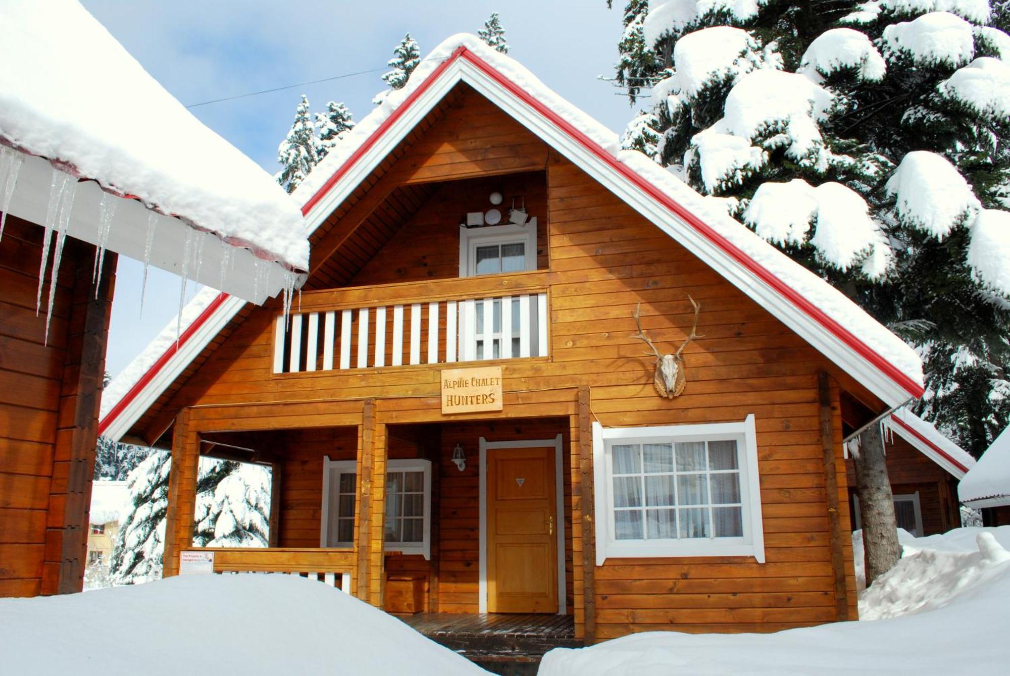 Alpine Ski Chalet Borovets With Sauna Kültér fotó