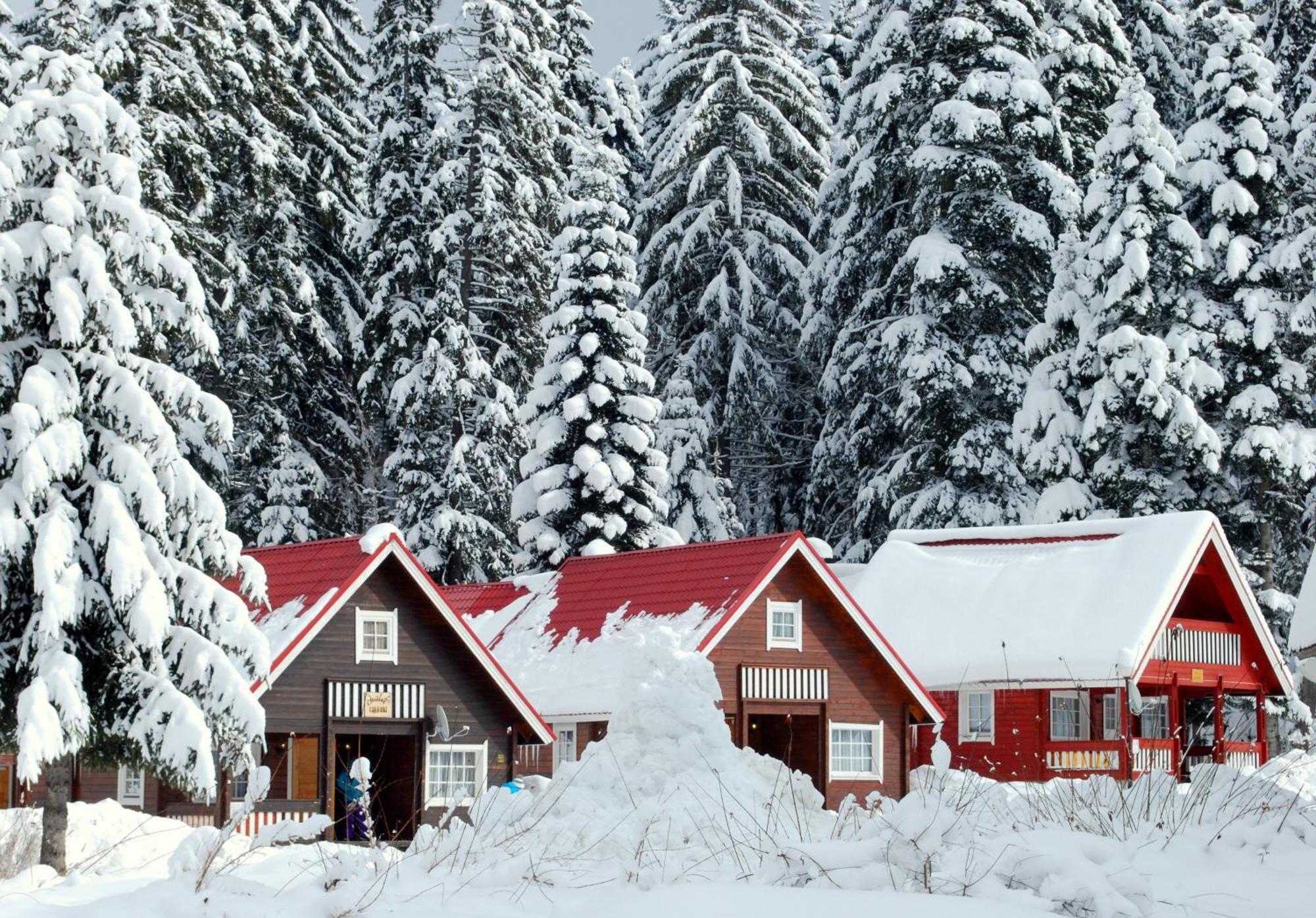 Alpine Ski Chalet Borovets With Sauna Kültér fotó