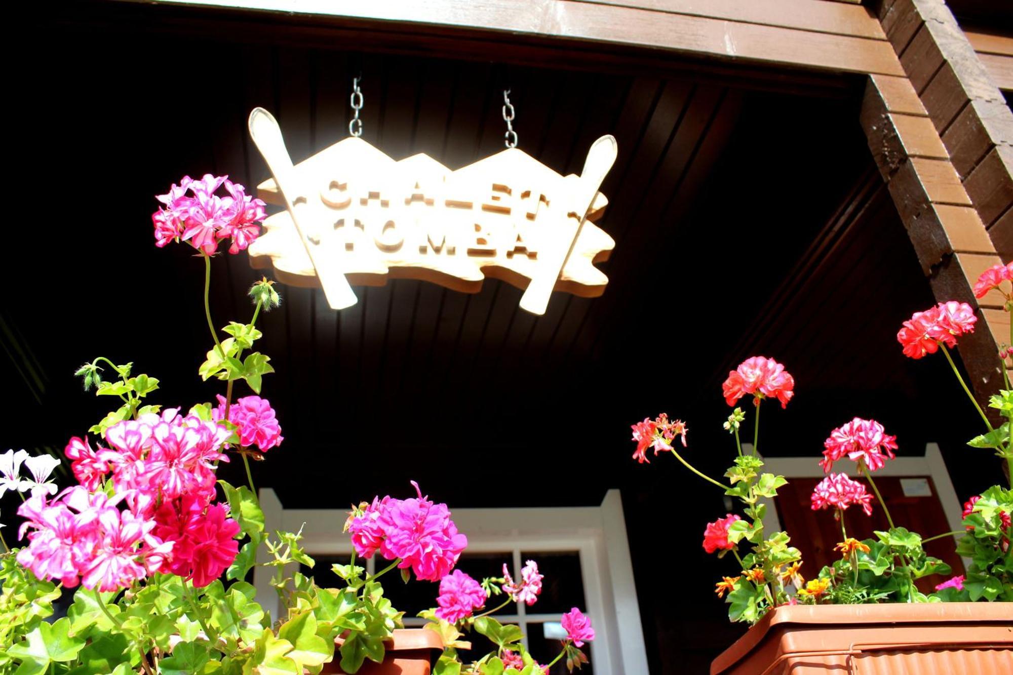 Alpine Ski Chalet Borovets With Sauna Kültér fotó