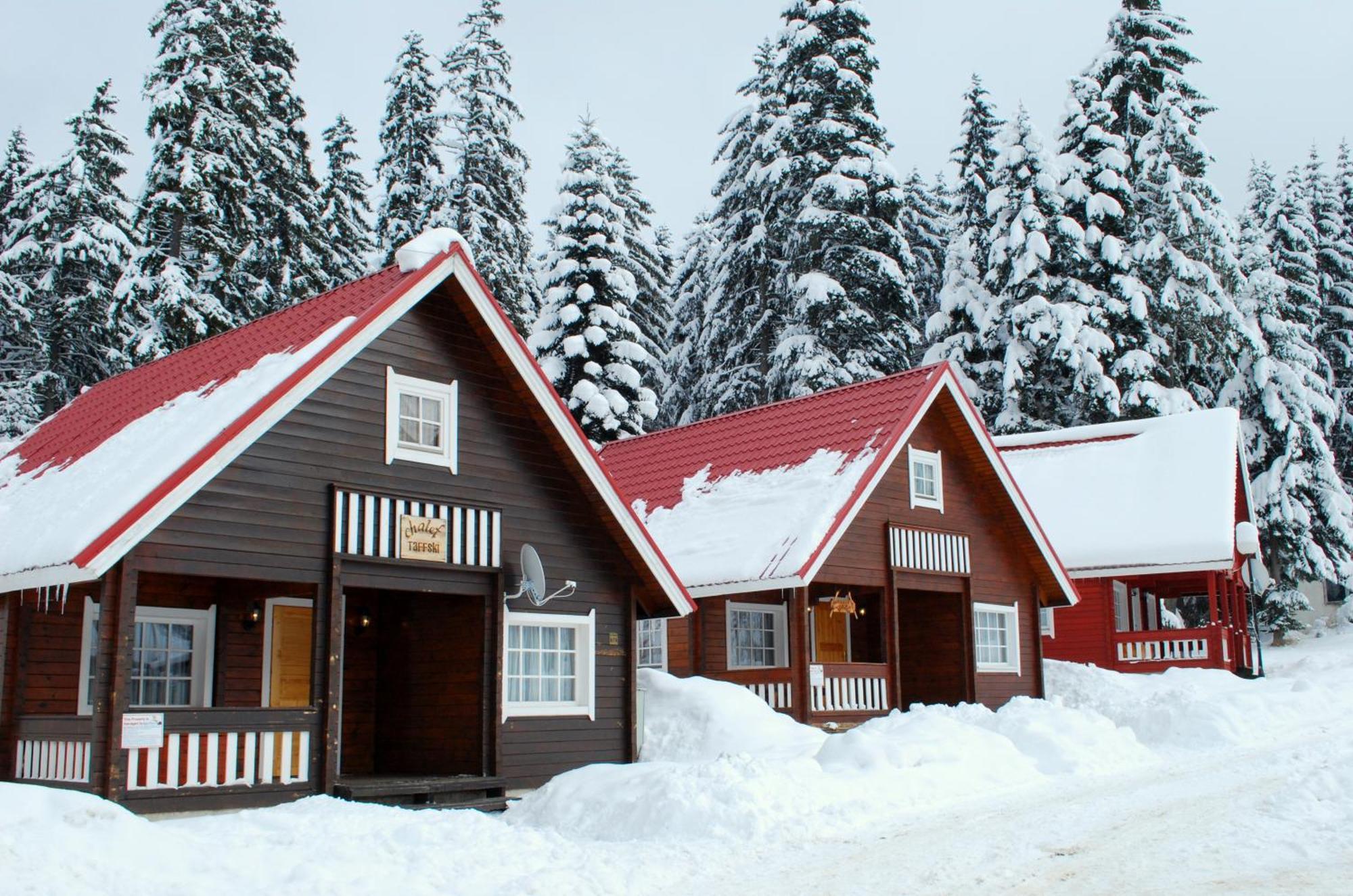 Alpine Ski Chalet Borovets With Sauna Kültér fotó