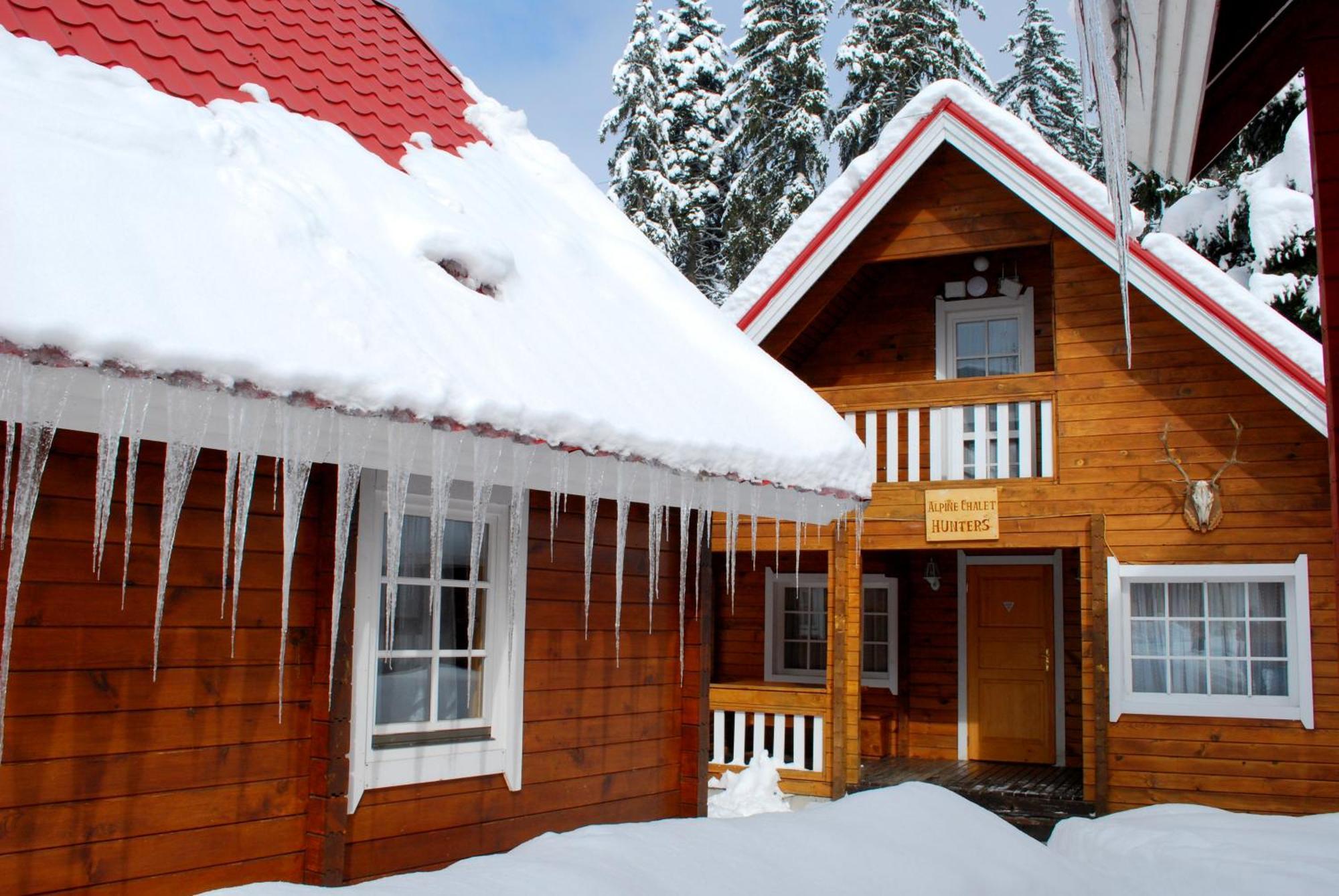 Alpine Ski Chalet Borovets With Sauna Villa Szoba fotó