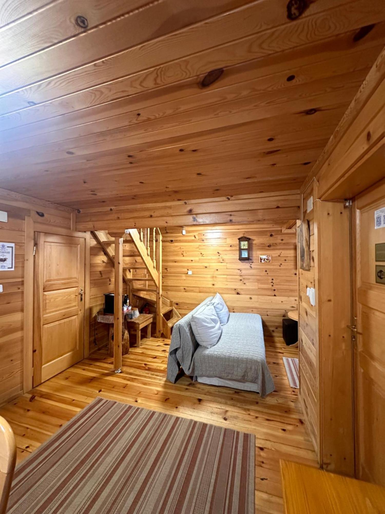 Alpine Ski Chalet Borovets With Sauna Kültér fotó